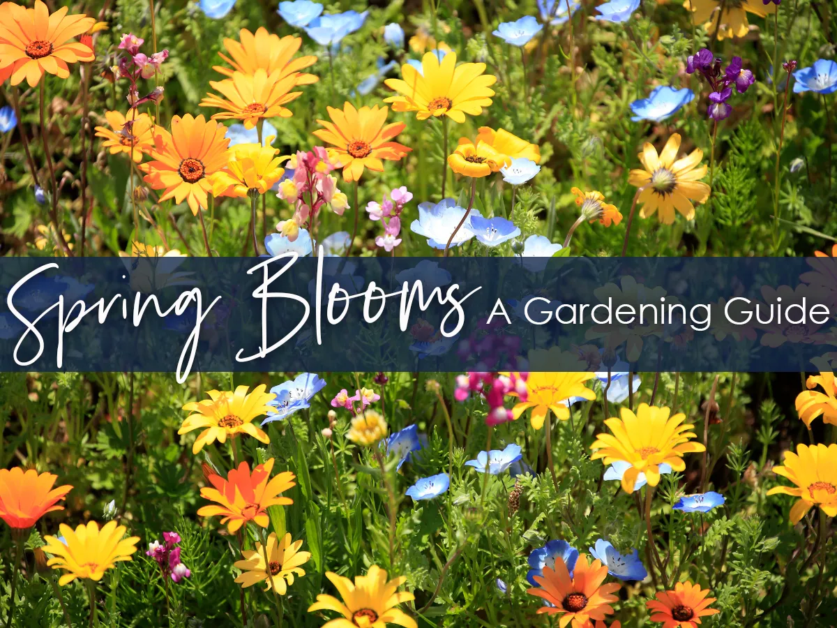 Cultivating Spring Bliss: A Gardening Guide by American Legend Homes