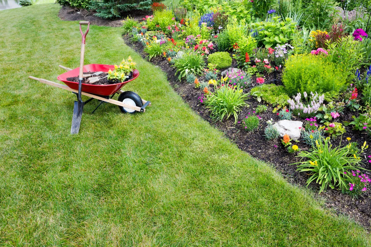 How American Legend families can spruce up their lawn during Lawn and Garden Month