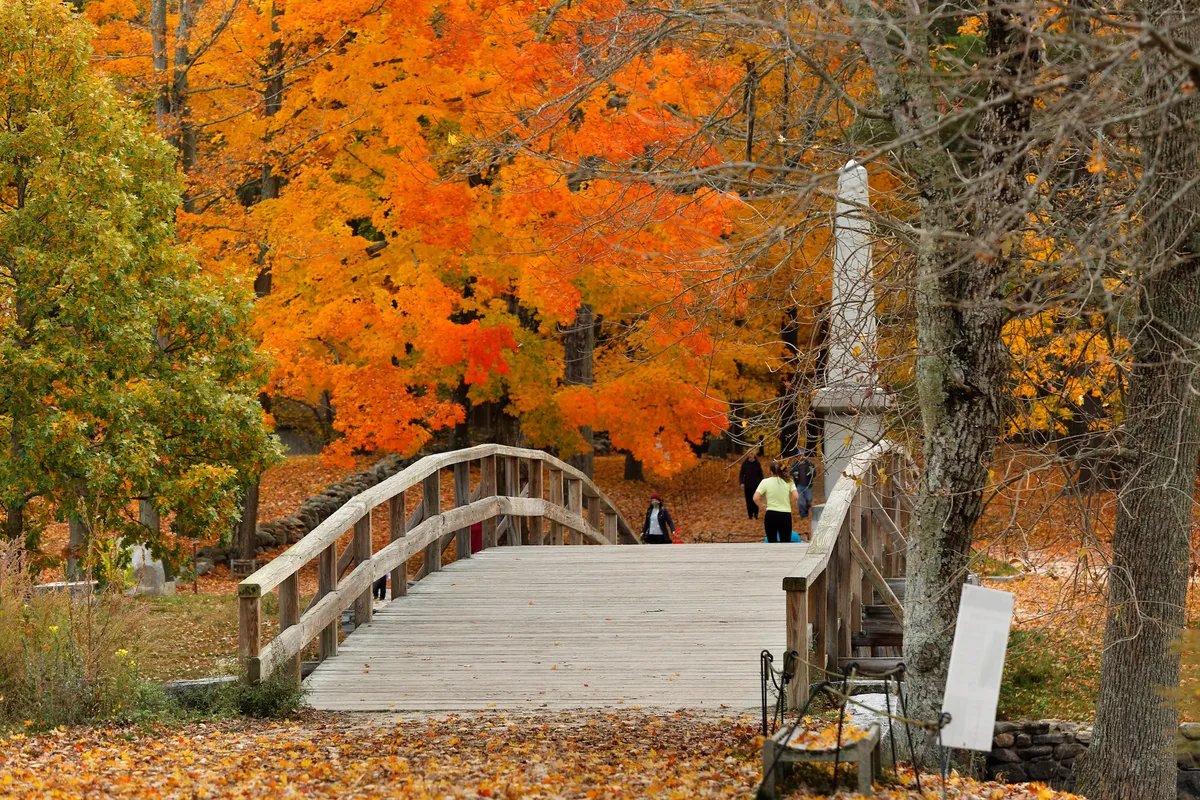 American Legend’s top five places to watch the leaves change