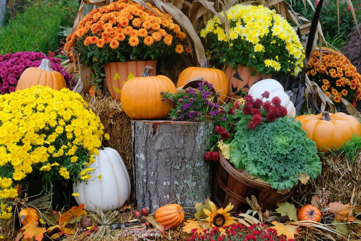 Fall landscaping ideas from American Legend Homes