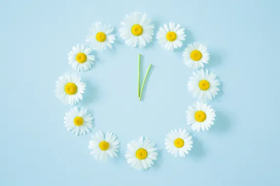 Belclaire Homes reminds you to Spring Forward!