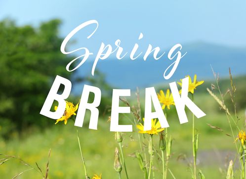 7 ways to prepare for spring break, whether you are staying or going!