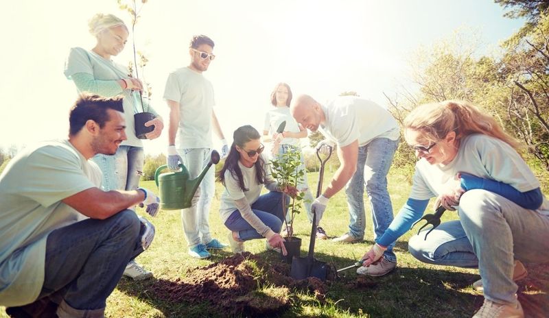 Group of individuals helping plant trees for Arbor Day
