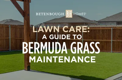 Lawn Care: Guide to Bermuda Grass Maintenance