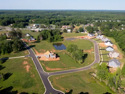 aerial view of the reed marsh community
