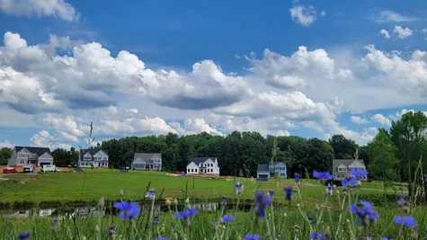 Beautiful scenery in the reed marsh community by boone homes