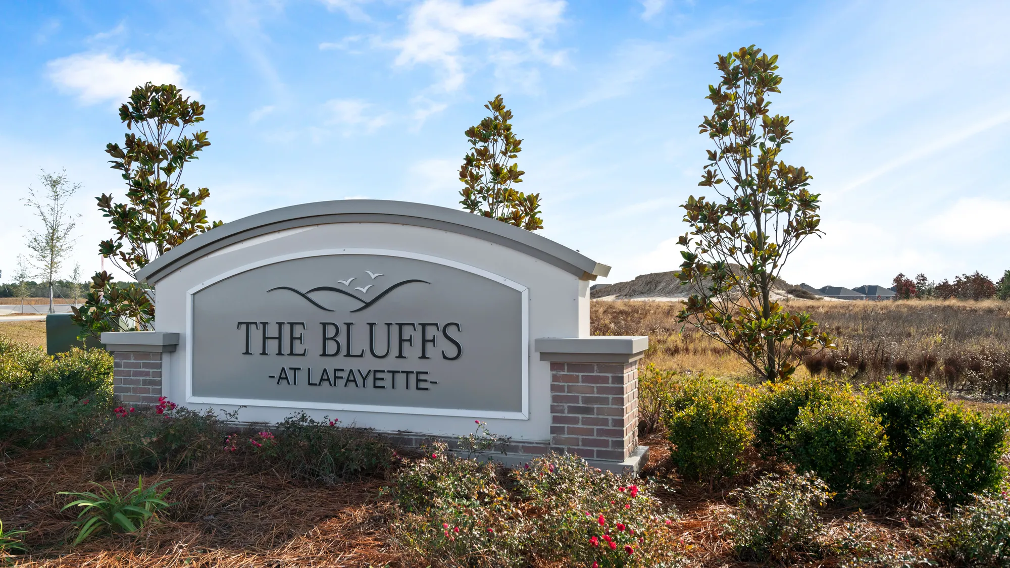 The Bluffs at Lafayette - Trillium IV A - DSLD Homes - Freeport, FL