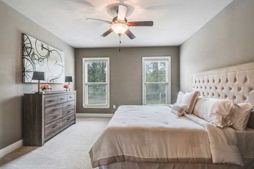 Audubon Trail - Model Home Master Bedroom - DSLD Homes - Trevi III A - Covington, LA