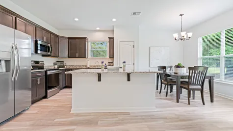 Arbor Walk Kitchen - DSLD New Construction Homes - Denham Springs, LA