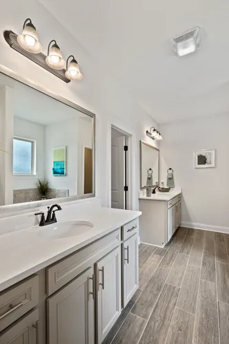 Talla Pointe - Model Home Master Bathroom - DSLD Homes - Hendricks III A - Ocean Springs, MS