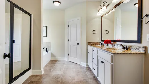 DSLD Homes - Camellia IV A Open Floor Plan - Master Bathroom Image