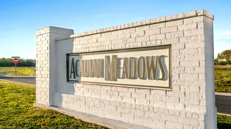 Acadian Meadows Community Entrance - DSLD Homes - Lafayette, LA