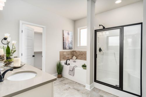 The Hamptons at Piney Creek - Model Home Master Bathroom - DSLD Homes