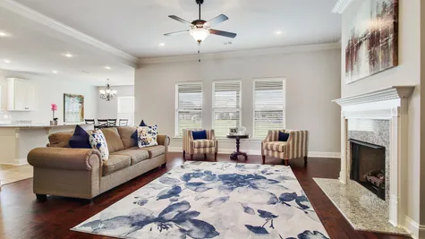 DSLD Homes - Camellia IV A Floor Plan - Living Room Image