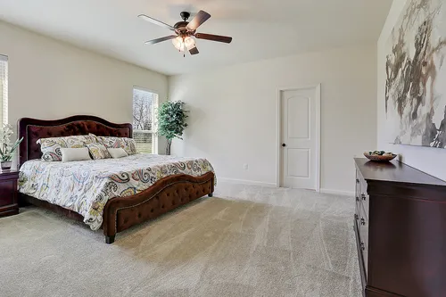 Evangeline Grove - Model Home Master Bedroom - DSLD Homes - Ripley II A - Lafayette, LA