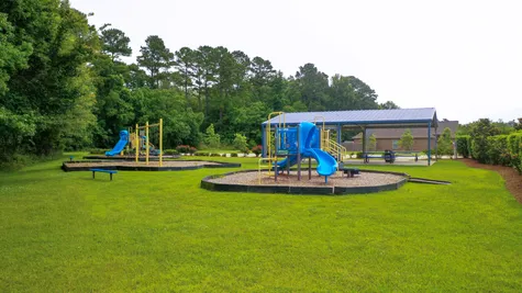 Arbor Walk Community Playground- New Construction Homes- DSLD Homes-  Denham Springs, Louisiana