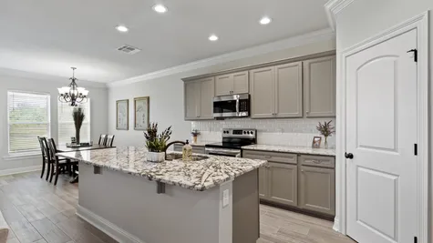 Cypresswood Village - DSLD Homes - Kitchen with Gray Painted Cabinets and Stainless Appliances