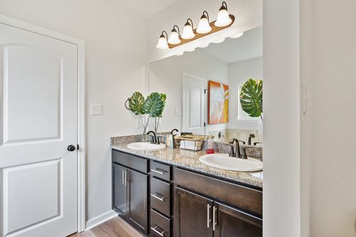 Hunter's Ridge - Model Home Master Bathroom - Connelly III A-  DSLD Homes - Denham Springs, LA