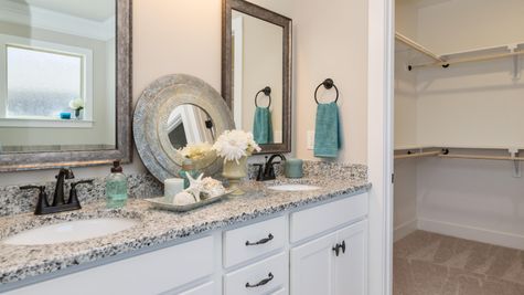 Decorated Master Bathroom suite Park Place Community - DSLD Homes- Huntsville, Alabama