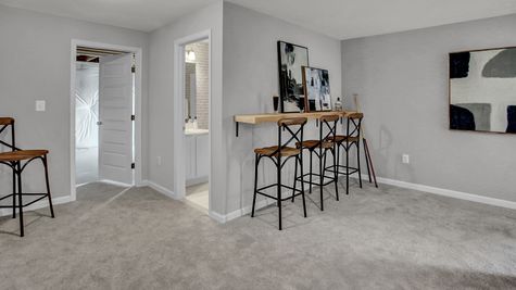 Recreation Room | with Optional Full Bath and Unfinished Storage