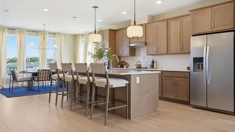 Kitchen- Sample Photo