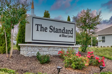 The Standard at Blue Level - Single Family