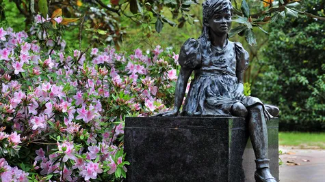 P_CAE_Sumter_Sumter Gardens3