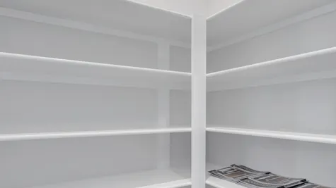 Pantry with Wood Shelving