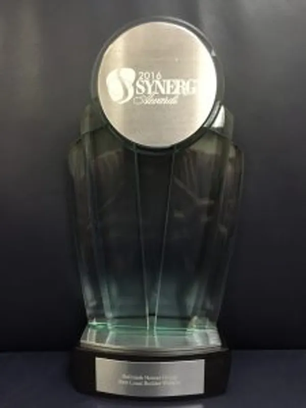 2016 Synergy Award Written Inside a Silver Circle Placed on a Black Trophy