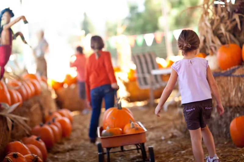 Children walking through a pumpkin patch with a wagon of pumpkins