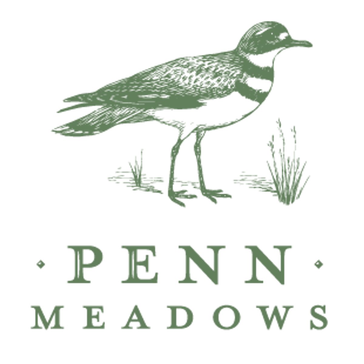 Penn Meadows