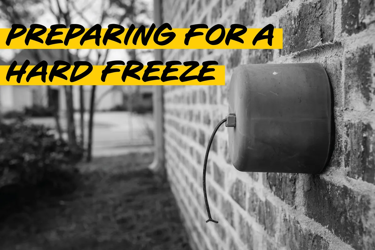 How to Prepare for a Hard Freeze