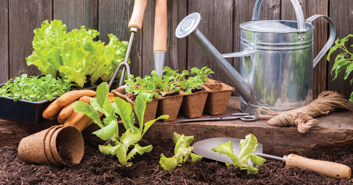 8 Must-Have Garden Tools and Their Uses for 2020