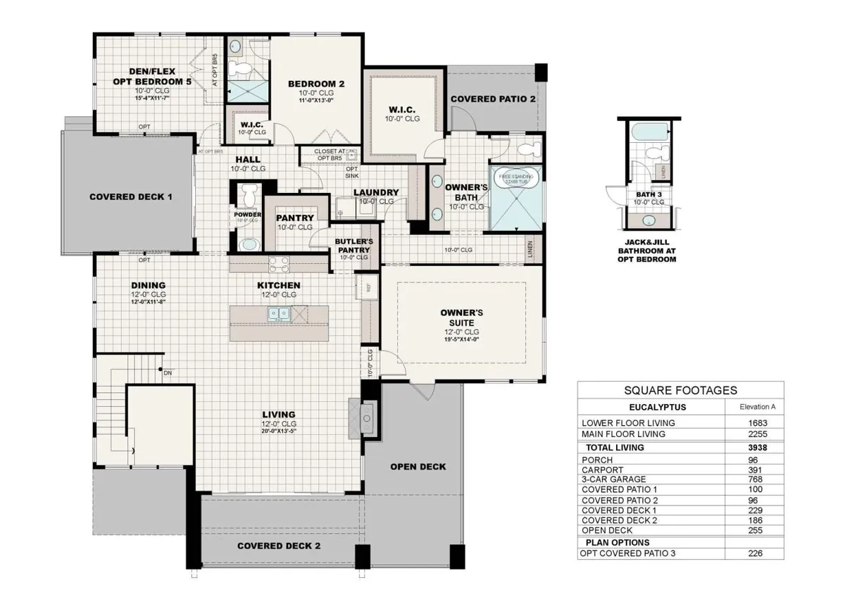 Eucalyptus A | Main Floor