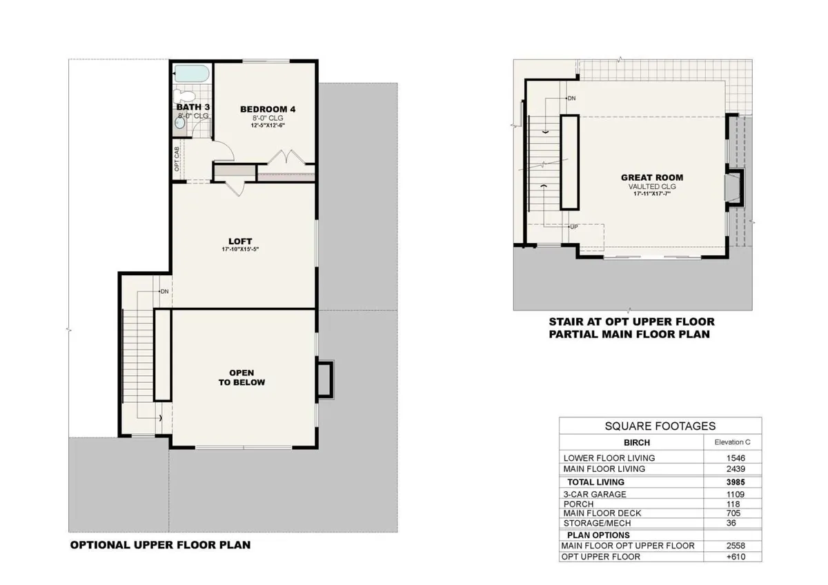Birch C | Options