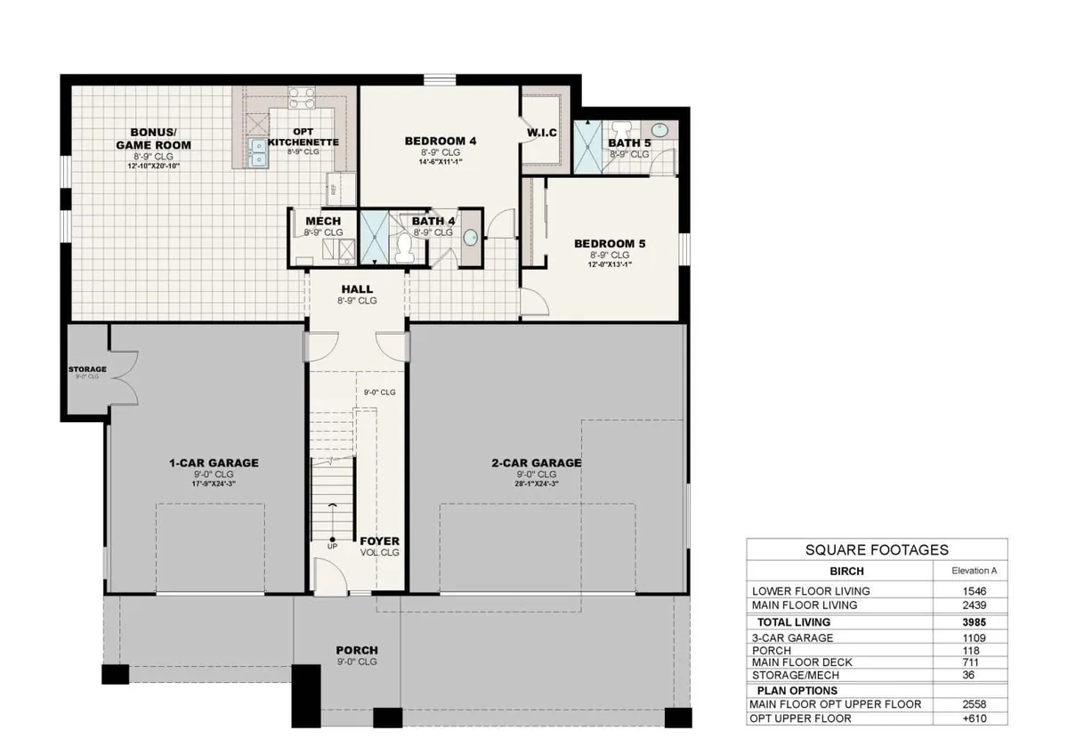 Birch A | Lower Floor