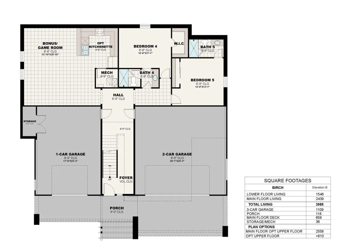 Birch B | Lower Floor