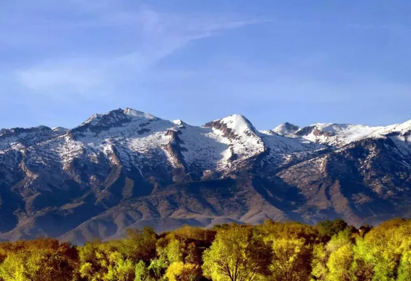 Top Reasons to Live in The Preserve at Gunther Estates