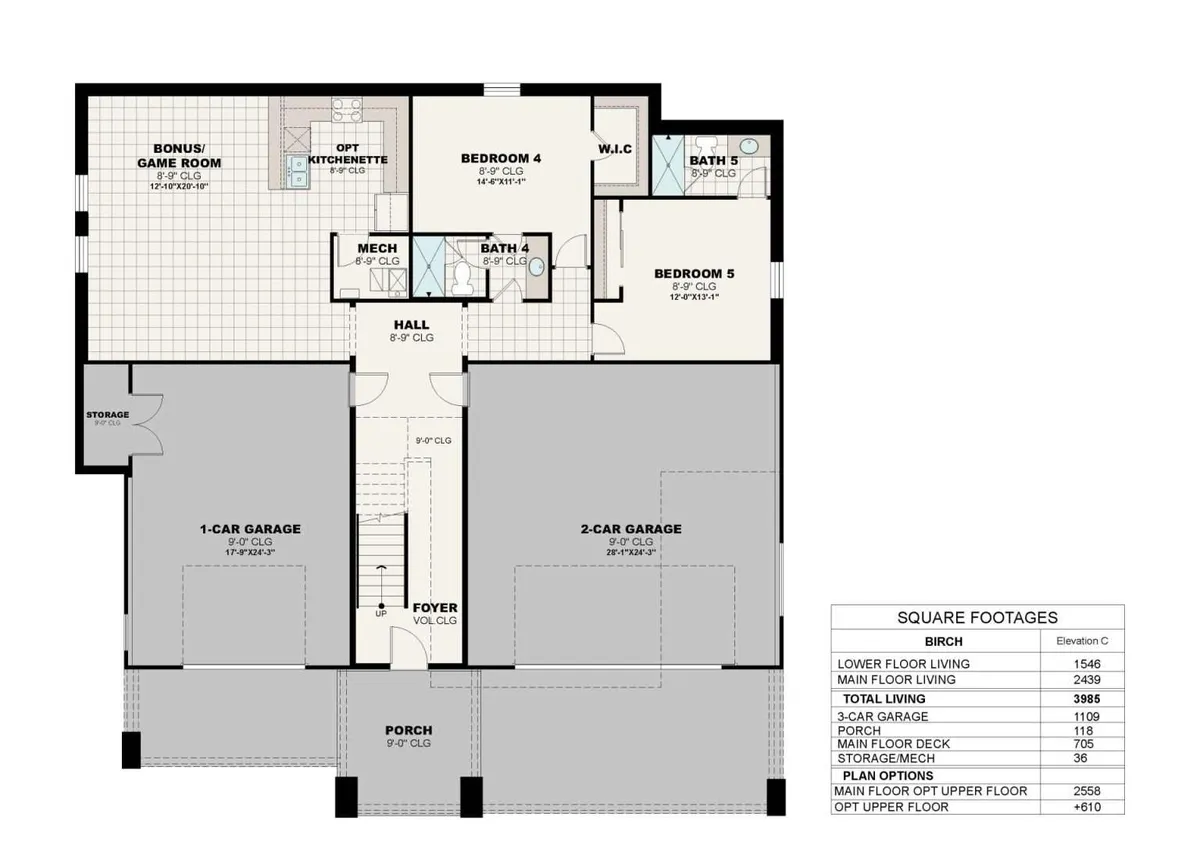 Birch C | Lower Floor