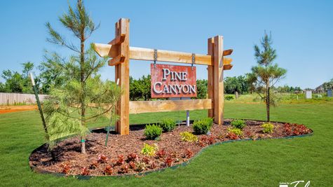 New Homes in Mustang in Pine Canyon