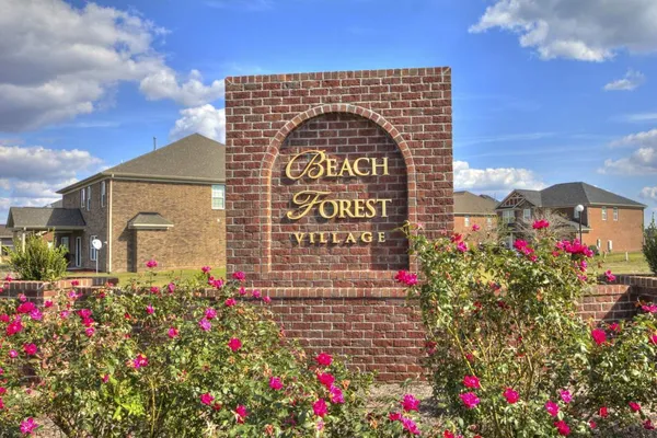 Beach Forest Entrance