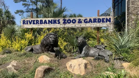 Riverbanks Zoo and Botanical Gardens are close by