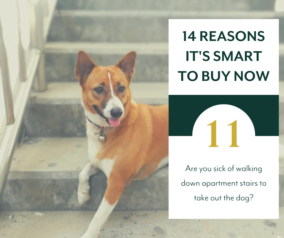 Why It’s Smart to Buy Now: Are You Sick of Walking Down Apartment Stairs to Take Out Your Dog?