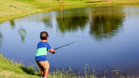 Lawrence. Child fishing in the pond