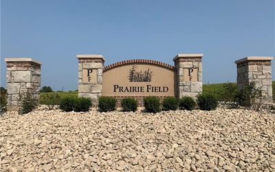 Prairie Field
