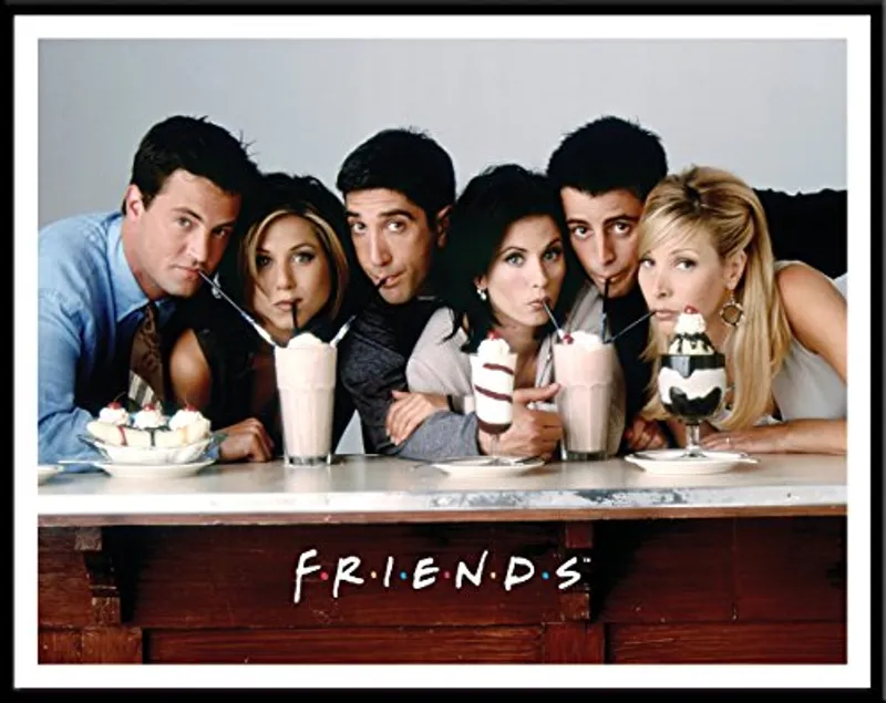 Friends TV series cover art- Beloved Friends character Monica Geller is featured in our Tillery Floor Plan Blog Series