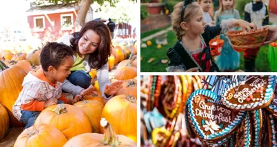 Families enjoying fall activities in the Lehigh Valley.