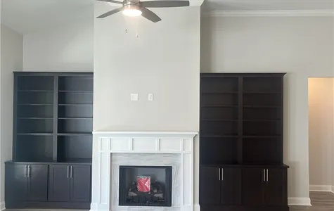 Fireplace and built-ins
