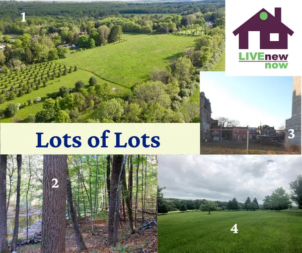 4 lots, trees fields, vacant lot in urban setting