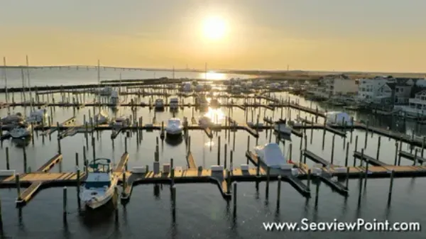 view of marina with boats at sunset
